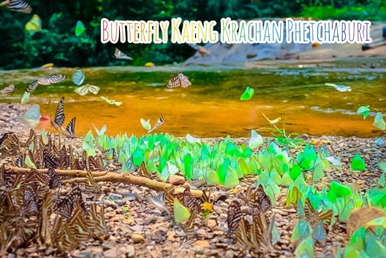 Baan Rai Pray Rung Kaeng Krachan Ban Tha Ling Lom Εξωτερικό φωτογραφία
